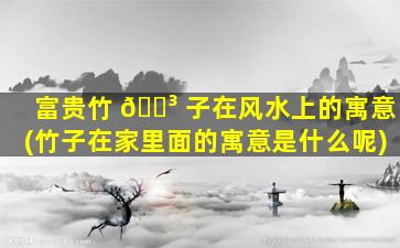 富贵竹 🌳 子在风水上的寓意(竹子在家里面的寓意是什么呢)